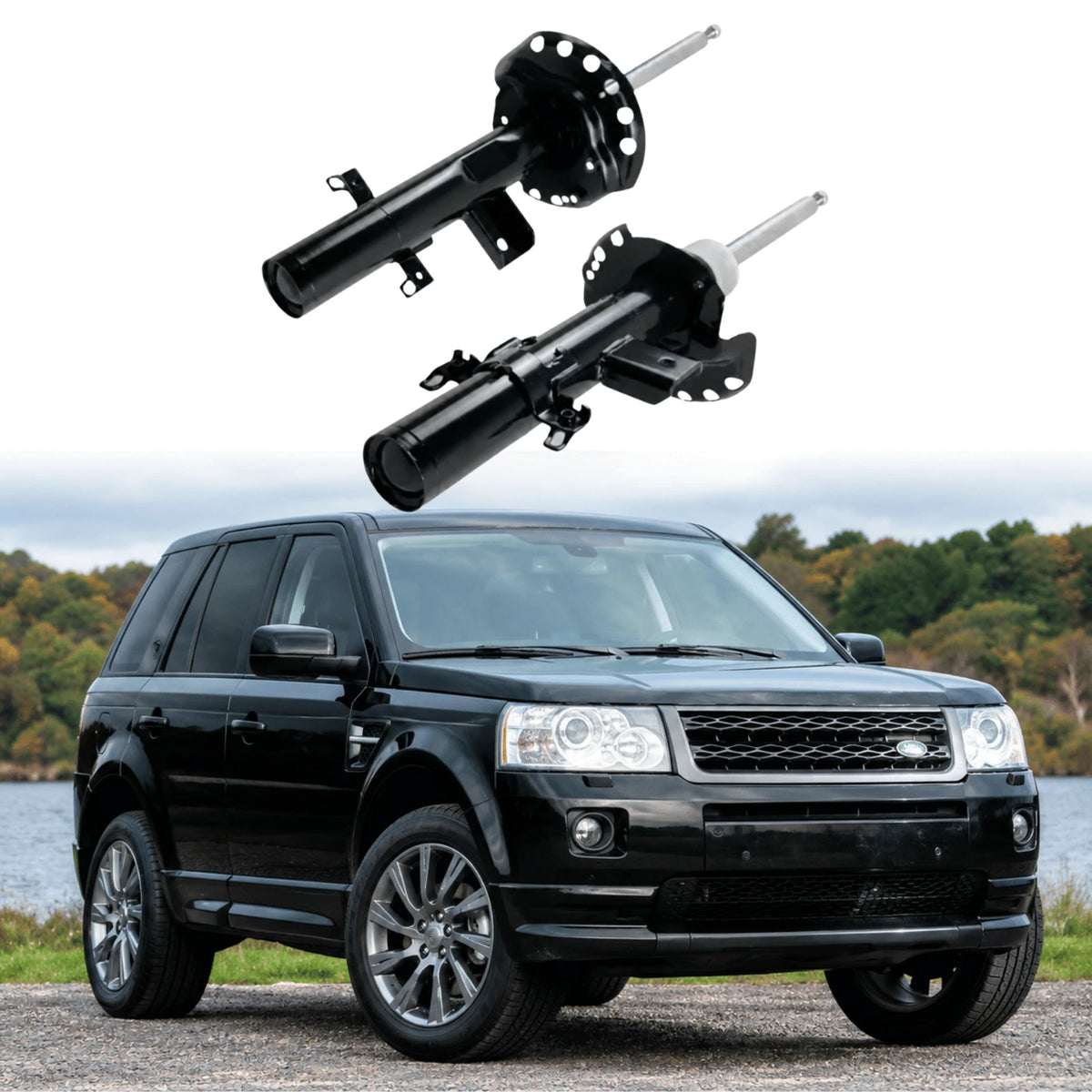 Image of rear left and right shocks for Freelander 2 2006-2014