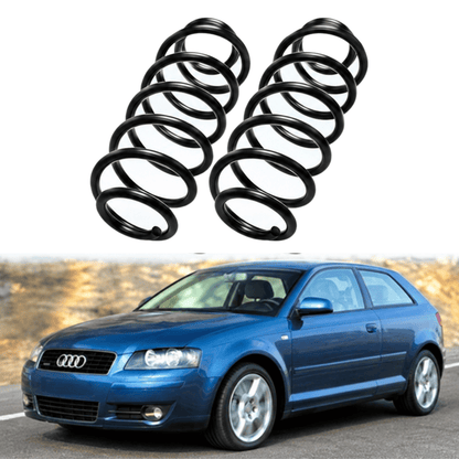 Image of Audi A3 rear suspension springs RH6596 RH6597
