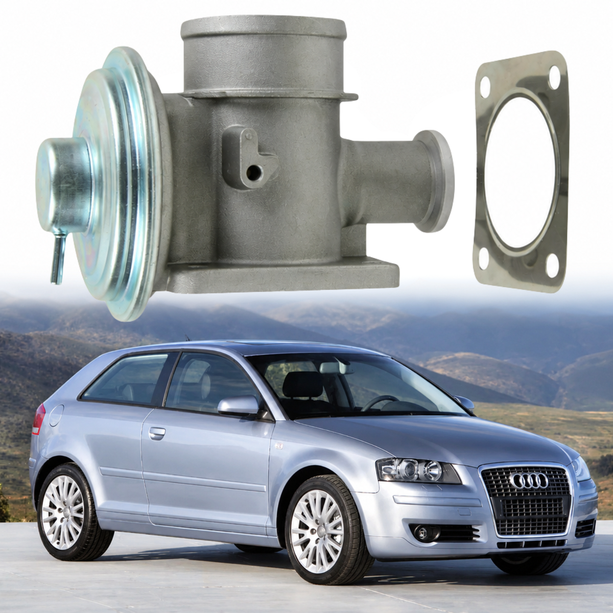 Image of EGR Valve WAV000040 for BMW E46 E90 E53 Diesel Models