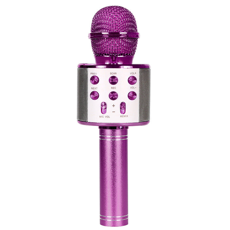 WS858 Bluetooth Microphone Speaker Microphone Integrated Home Wireless Karaoke Wheat Vibrato Sing It Practice Song Cross-border Exclusive Supply